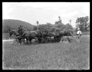 To menn laster hveteskiver på en hestevogn, sannsynligvis McCready Farm, Crawford County, Pennsylvania, ca. 1913 av William Davis Hassler