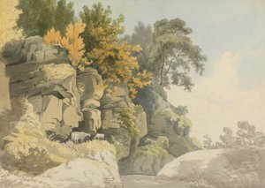 Skogkledde steiner ved en bekk (Derbyshire?)