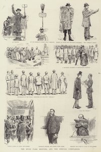 Hyde Park-møtet og spesialkonstablene av William Douglas Almond