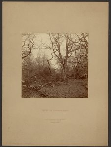  av William Drooke Harrison