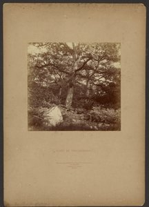  av William Drooke Harrison