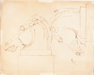 The Horse of Selene fra Elgin Marbles [recto] av William Etty