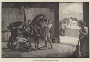 The Shire Horse Show, finpuss