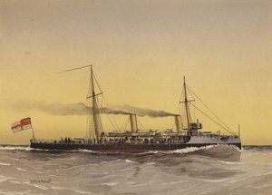 HMS Speedwell, torpedokanonbåt