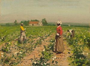 Å plukke bomull, ca. 1890. av William Gilbert Gaul