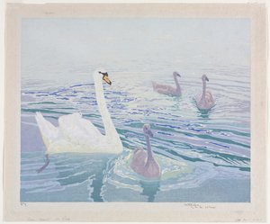 Svaner og cygnets