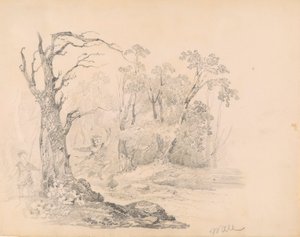 Scene fra Scott