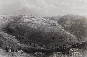 Mount Lion, Jerusalem, fra Hill of Evil Counsel