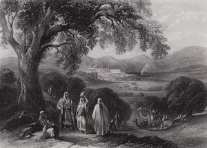 Vale of Nazareth (gravering) av William H. Bartlett