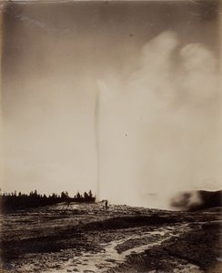 Old Faithful, 1871.
