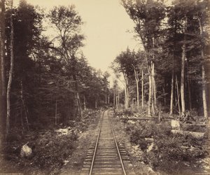 Ganoga Lake Branch av William H. Rau