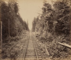 Hemlock Forest av William H. Rau