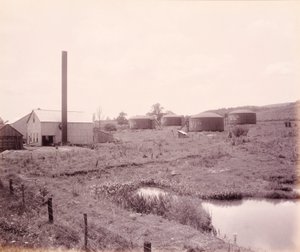  av William H. Rau