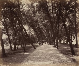Piknikplass av William H. Rau