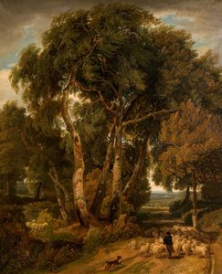 Driving Home The Flock, 1806.