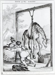 Giraffens tilstand, 1829 av William Heath