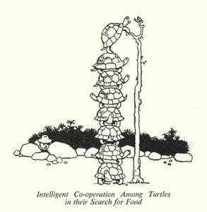 Intelligent samarbeid blant skilpadder i deres jakt på mat (litho) av William Heath Robinson