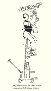 Selvheis som skal brukes ved tynning av drivhusdruer (litho) av William Heath Robinson