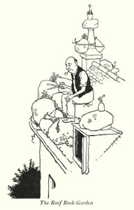 The Roof Rock-Garden (litho) av William Heath Robinson