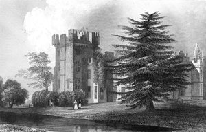 Faulkbourne Hall, nær Witham, Essex, gravert av Henry Wallis, 1832 av William Henry Bartlett