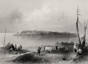 Navy Island, Niagara River, Ontario, Canada, gravert av Charles Coulson (1815-89) av William Henry Bartlett