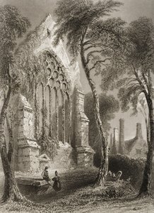 Youghal Abbey, County Cork, Irland, fra "Scenery and Antiquities of Ireland" av George Virtue, 1860-tallet av William Henry Bartlett