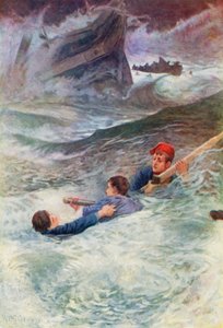 Sliter i det ville havet av William Henry Charles Groome
