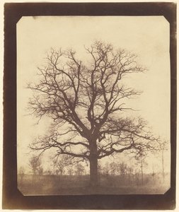  av William Henry Fox Talbot