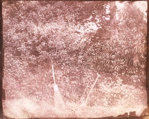 Kost og spade, 1842 av William Henry Fox Talbot