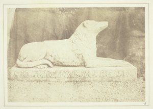 av William Henry Fox Talbot