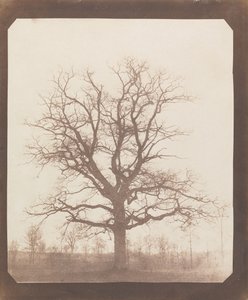  av William Henry Fox Talbot
