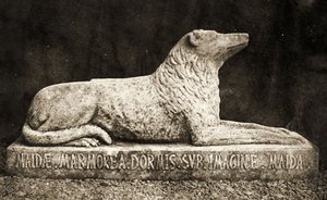 Statue av Maida, rapportert å være Sir Walter Scotts favoritthund. (sepia bilde) av William Henry Fox Talbot