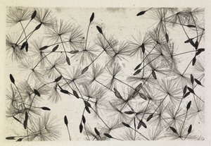 Talbot-bilde 24 1730 av William Henry Fox Talbot