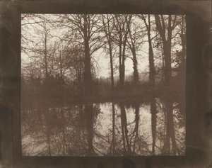 Trær og refleksjoner av William Henry Fox Talbot