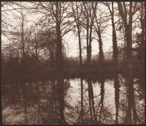 Vintertrær reflektert i en dam, 1841-42. av William Henry Fox Talbot