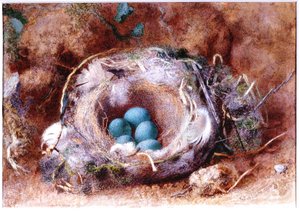 Fugleredet, ca 1825-1850 (Akvarell og gouache) av William Henry Hunt
