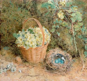 Bokfinkereir med Primroser (wc og gouache på papir) av William Henry Hunt