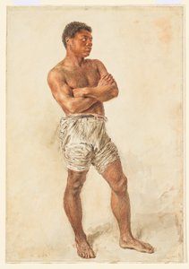  av William Henry Hunt