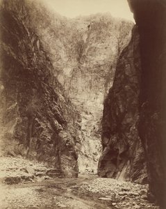  av William Henry Jackson