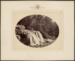 av William Henry Jackson