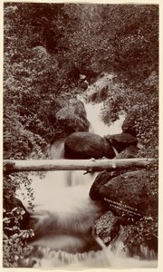  av William Henry Jackson