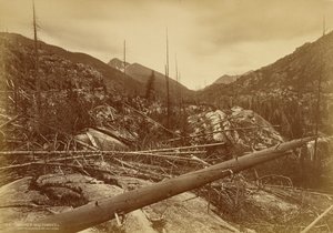  av William Henry Jackson