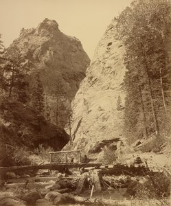  av William Henry Jackson