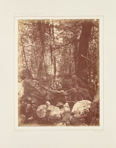  av William Henry Jackson