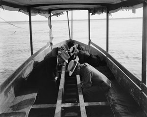 Viser de marine hagene gjennom bunnen av båten, Nassau, Bahamas, 1900 av William Henry Jackson