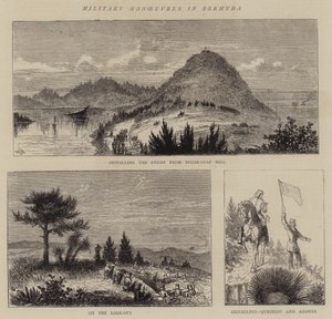 Militære manøvrer på Bermuda av William Henry James Boot