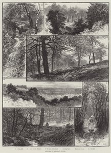 Skisser i Highgate Woods av William Henry James Boot