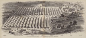 The Implement and Cattle Shows of the Royal Agricultural Society of England, på årsmøtet holdt i Northampton, 20., 21., 22. juli 1847 av William Henry Pike