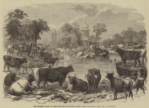 The Horned Host i Bois de Boulogne, Paris