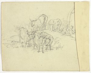 Storfe (recto); The Charlatan (verso) av William Henry Pyne